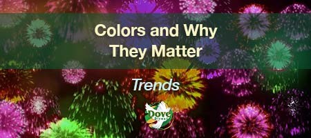 dove-direct-blog-colors-and-why-they-matter