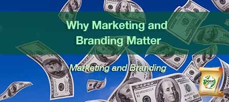 dove-direct-blog-Why-Marketing-and-Branding-Matter